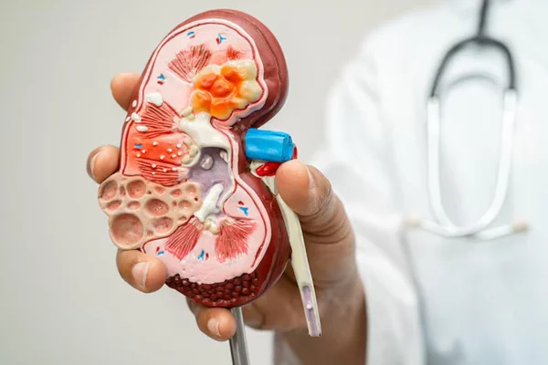 Chronic Kidney Disease Care